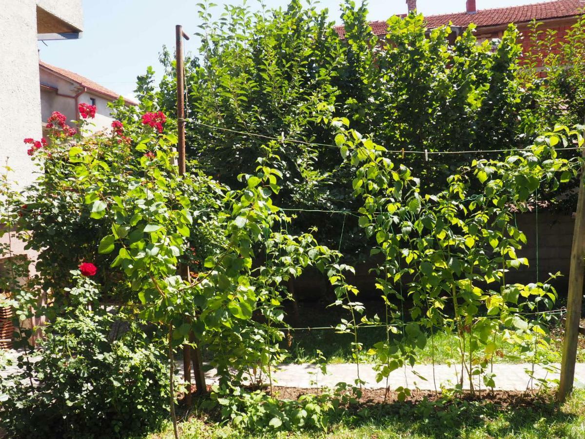Guest house Stefanovic Vranje Extérieur photo